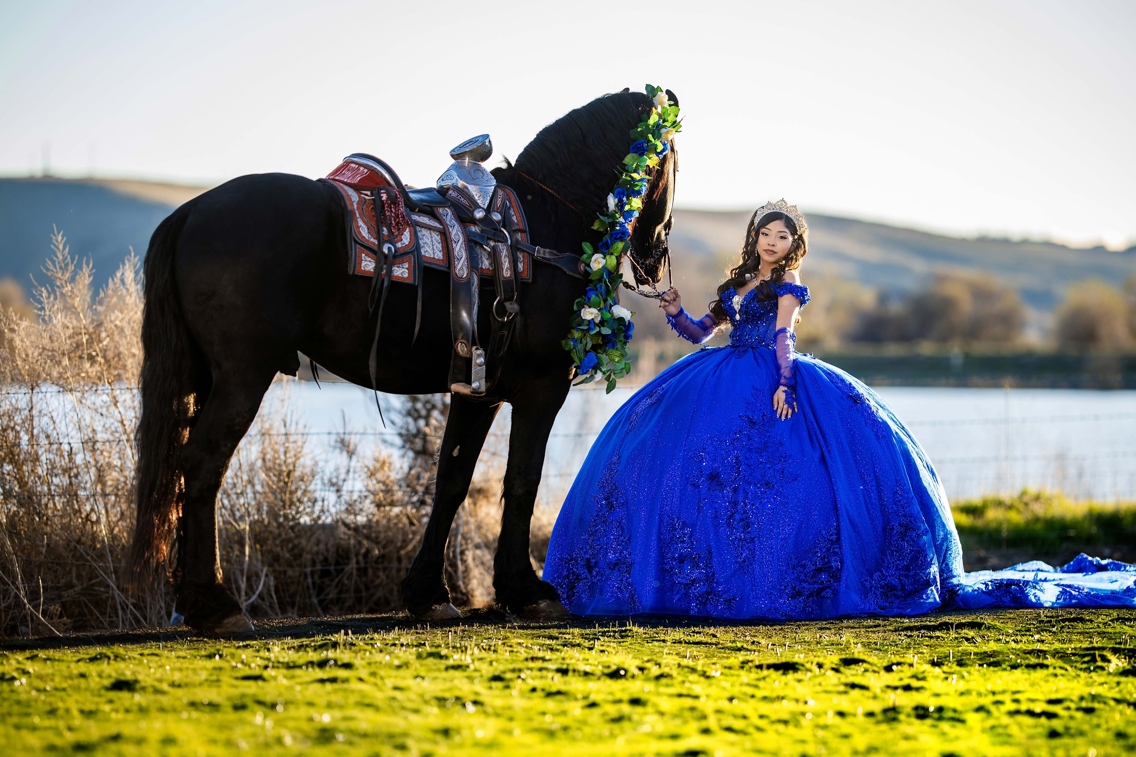 Quinceanera Horse91