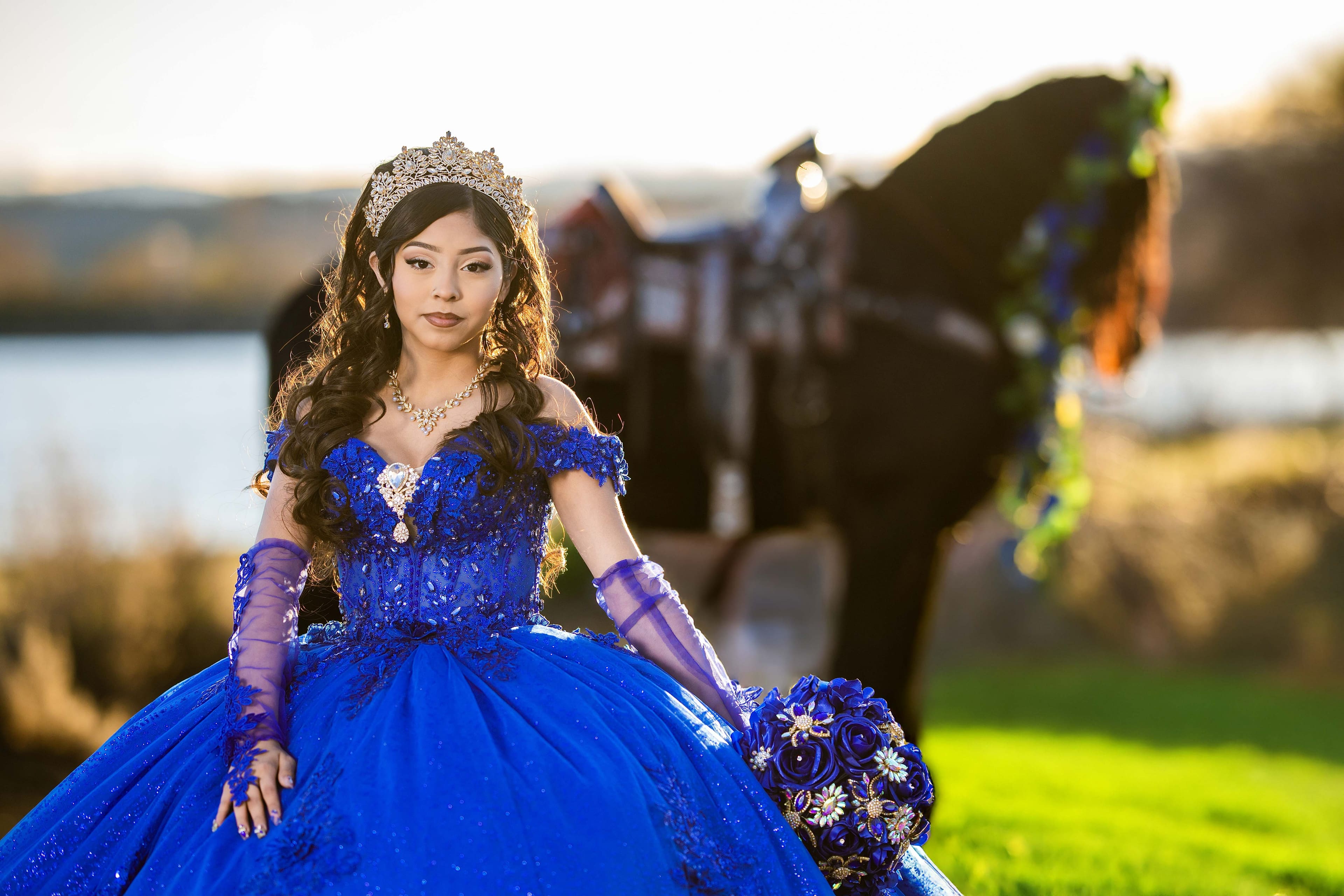 Quinceanera Horse94